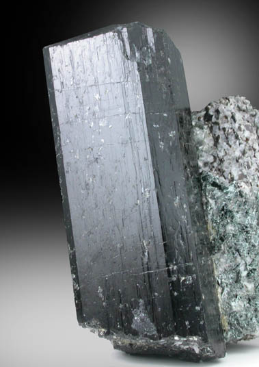Schorl Tourmaline from Route 9 road cut, Haddam, Middlesex County, Connecticut