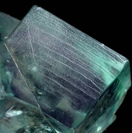 Fluorite (interpenetrant-twinned) from Eastgate Quarry, Weardale, County Durham, England