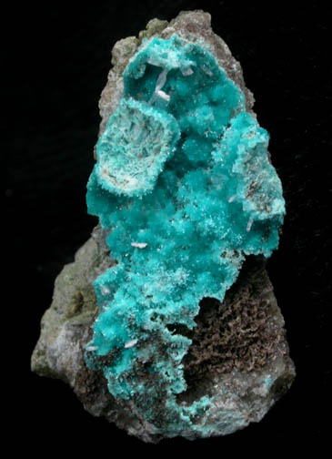 Cavansite from Owyhee Dam, Malheur County, Oregon (Type Locality for Cavansite)