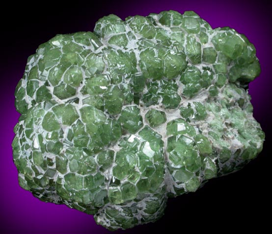 Andradite var. Demantoid Garnet with Serpentine from Miniera di Franscia, Campo Franscia, Sondrio, Italy