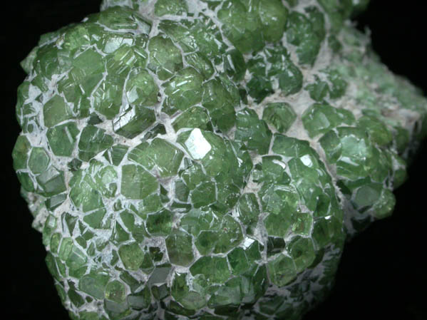 Andradite var. Demantoid Garnet with Serpentine from Miniera di Franscia, Campo Franscia, Sondrio, Italy