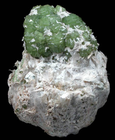 Andradite var. Demantoid Garnet on Serpentine from Miniera di Franscia, Campo Franscia, Sondrio, Italy