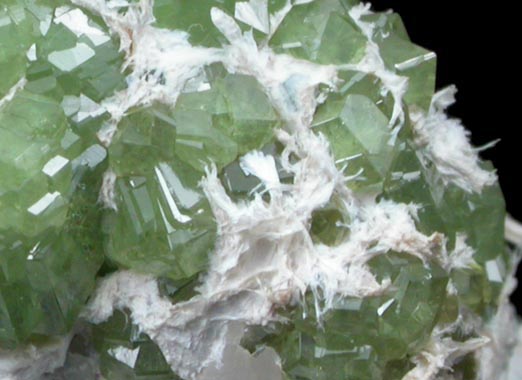 Andradite var. Demantoid Garnet on Serpentine from Miniera di Franscia, Campo Franscia, Sondrio, Italy