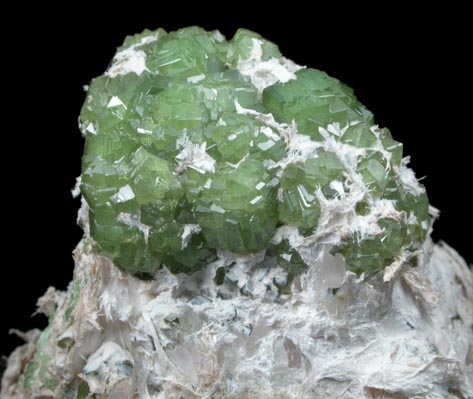 Andradite var. Demantoid Garnet on Serpentine from Miniera di Franscia, Campo Franscia, Sondrio, Italy