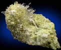 Celestine on Sulfur from Machow, Tarnobrzeg, Poland