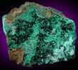 Atacamite on Chrysocolla from Copiapo, Atacama Desert, Chile (Type Locality for Atacamite)