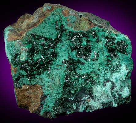 Atacamite on Chrysocolla from Copiapo, Atacama Desert, Chile (Type Locality for Atacamite)