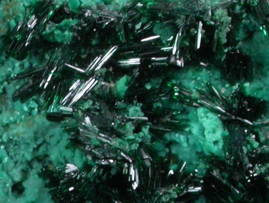 Atacamite on Chrysocolla from Copiapo, Atacama Desert, Chile (Type Locality for Atacamite)