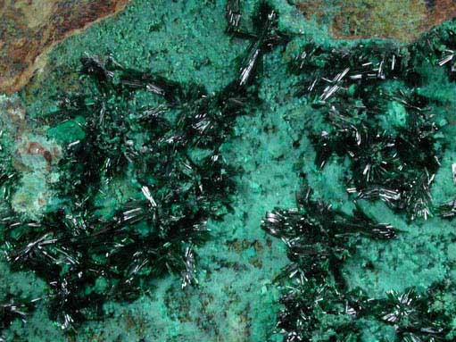 Atacamite on Chrysocolla from Copiapo, Atacama Desert, Chile (Type Locality for Atacamite)