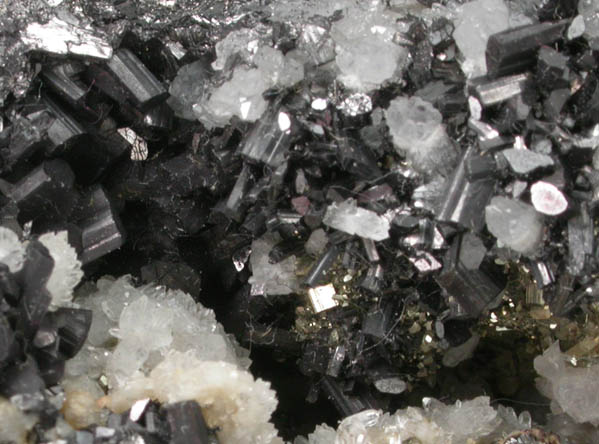 Enargite, Pyrite and Quartz from Butte Mining District, Summit Valley, Silver Bow County, Montana