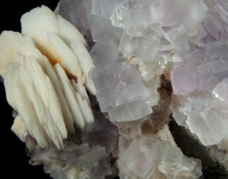 Fluorite with Barite from Caravia-Berbes District, Asturias, Spain