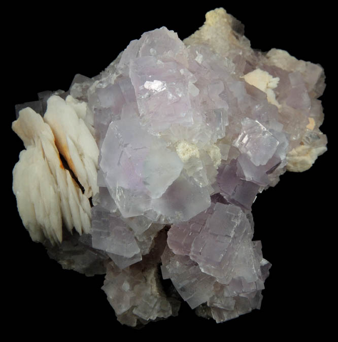 Fluorite with Barite from Caravia-Berbes District, Asturias, Spain