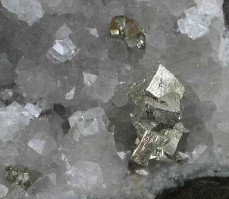 Pyrite on Quartz from Millington Quarry, Bernards Township, Somerset County, New Jersey