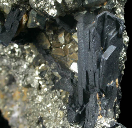 Covellite and Pyrite from Butte Mining District, Summit Valley, Silver Bow County, Montana
