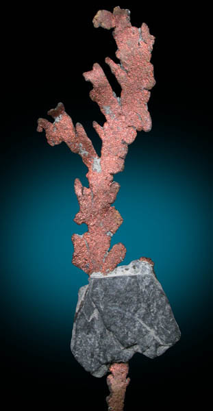 Copper in shale from White Pine Mine, Keweenaw Peninsula Copper District, Ontonagon County, Michigan