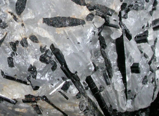 Schorl Tourmaline in Quartz from Achiase, north of Accra, Ghana