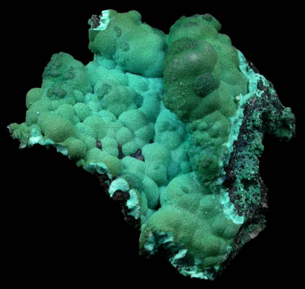 Chrysocolla from Morenci Mine, Clifton District, Greenlee County, Arizona