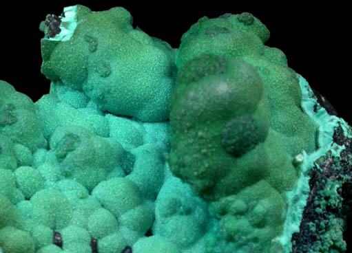 Chrysocolla from Morenci Mine, Clifton District, Greenlee County, Arizona