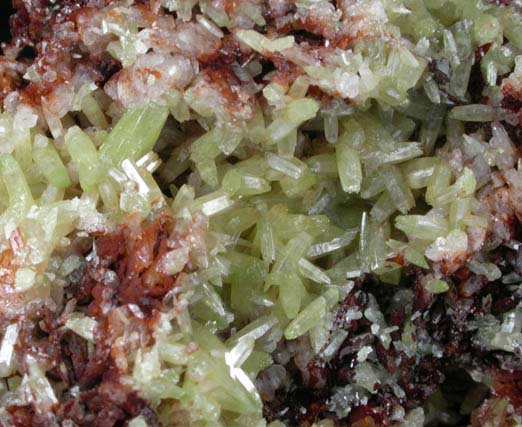 Pyromorphite and Quartz from Roughton Gill Mine, South Vein, Caldbeck Fells, Cumbria, England