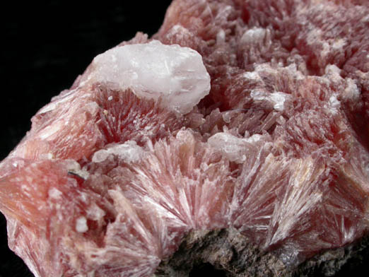 Inesite from N'Chwaning Mine, Kalahari Manganese Field, Northern Cape Province, South Africa