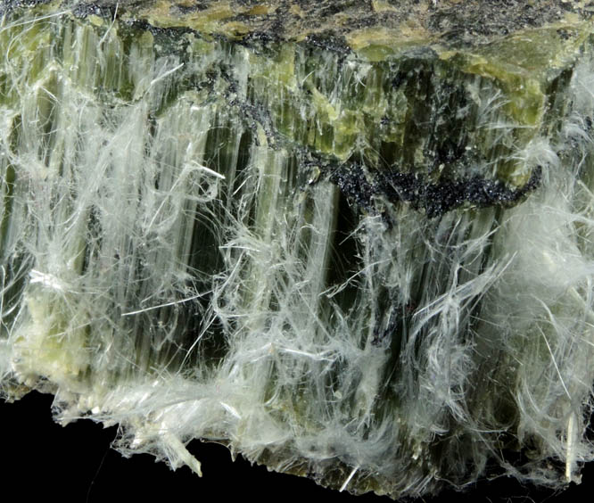 Clinochrysotile from Thetford Mines, Qubec, Canada