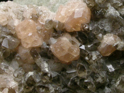 Anorthite with Grossular Garnet from Kola Peninsula, Murmanskaja Oblast', Russia