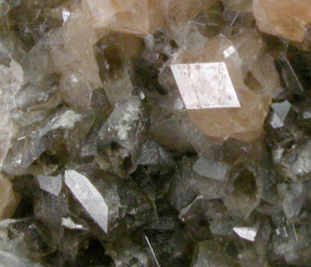 Anorthite with Grossular Garnet from Kola Peninsula, Murmanskaja Oblast', Russia