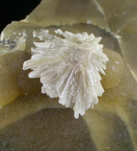 Barite on Calcite from Isle of Sheppey, Kent, England