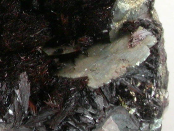 Goethite with Marcasite from Gwynfynydd Mine, Dolgellau Gold Belt, Gwynedd, Wales