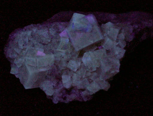 Fluorite (twinned crystals) from Hilton Mine, Scordale, 4 km NE of Hilton, Cumbria, England