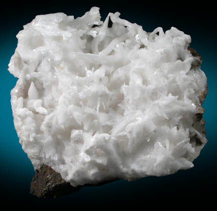 Aragonite var. Flos Ferri from Wanlockhead, Dumfriesshire, Scotland