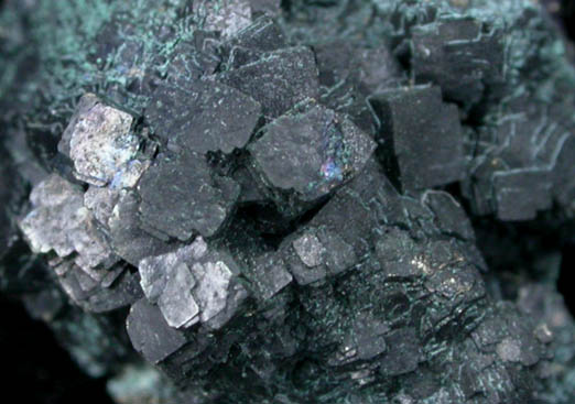 Bornite from Redruth District, Cornwall, England