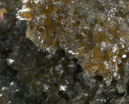 Siderite from Wheal Jane, Kea, St. Day District, Cornwall, England