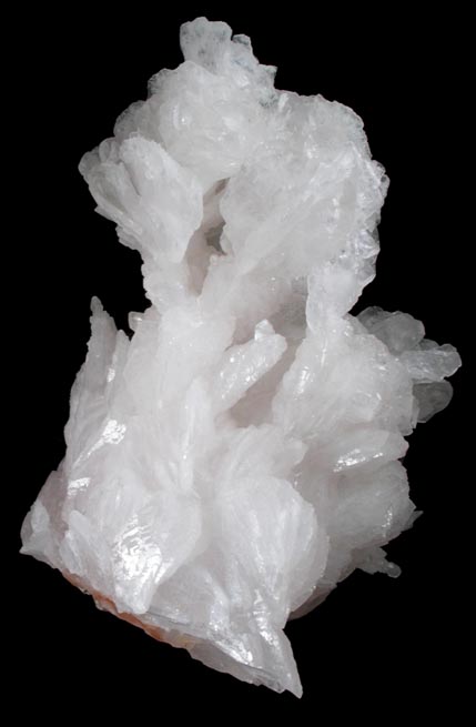 Aragonite-Calcite from Chihuahua, Mexico