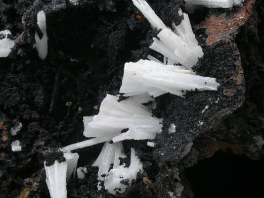 Cerussite on Goethite from Miniera Montevecchio, Iglesias, Carbonia-Iglesias, Sardinia, Italy