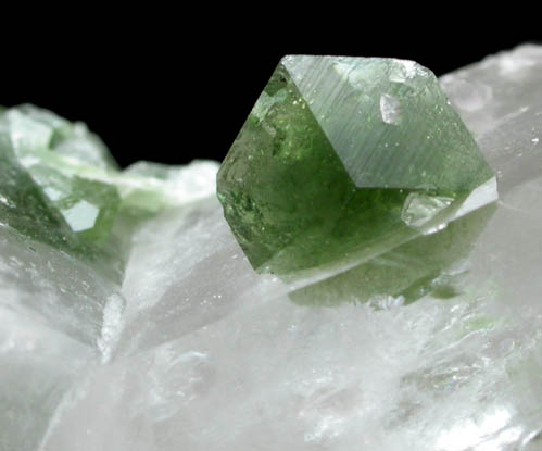 Uvite Tourmaline with Magnesite on Quartz from Brumado District, Serra das guas, Bahia, Brazil