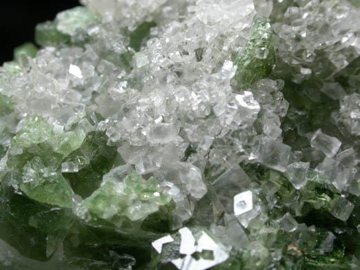 Uvite Tourmaline with Magnesite on Quartz from Brumado District, Serra das guas, Bahia, Brazil