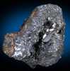 Anglesite in Galena from Monteponi Mine, Iglesias, Sardinia, Italy