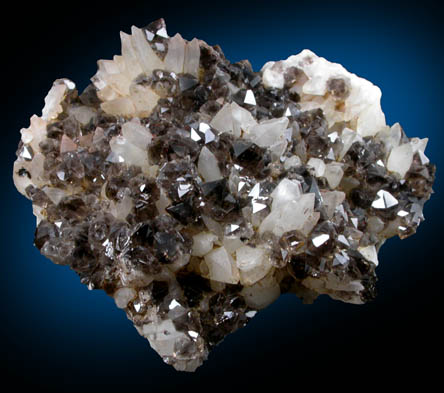 Quartz var. Smoky and Calcite from Cinque Quarry, East Haven, New Haven County, Connecticut