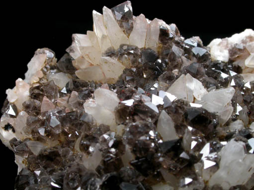 Quartz var. Smoky and Calcite from Cinque Quarry, East Haven, New Haven County, Connecticut