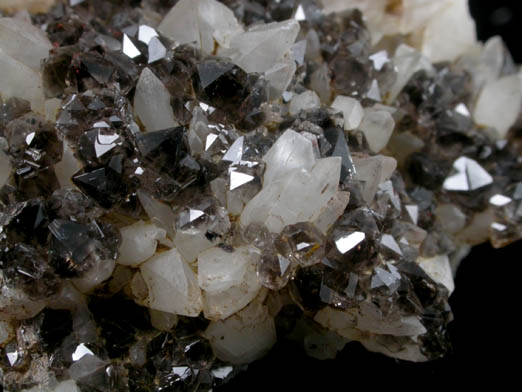 Quartz var. Smoky and Calcite from Cinque Quarry, East Haven, New Haven County, Connecticut