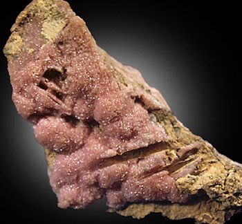 Rhodochrosite from Moose Mine, near Central City, Colorado