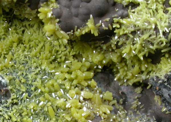 Pyromorphite and Coronadite on Quartz from Old Luganure Mine, Shallow Adit, Glendasan, County Wicklow, Ireland