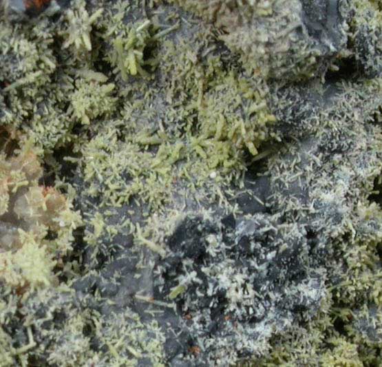 Pyromorphite on Coronadite and Quartz from Old Luganure Mine, Shallow Adit, Glendasan, County Wicklow, Ireland