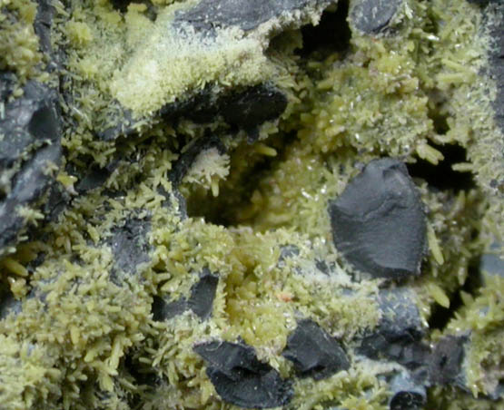 Pyromorphite on Coronadite from Old Luganure Mine, Shallow Adit, Glendasan, County Wicklow, Ireland