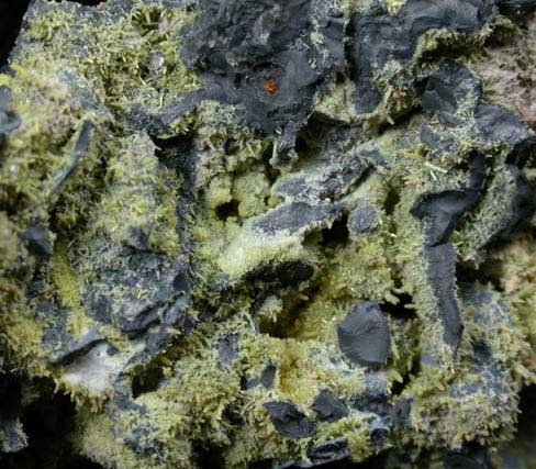 Pyromorphite on Coronadite from Old Luganure Mine, Shallow Adit, Glendasan, County Wicklow, Ireland