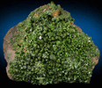 Pyromorphite from Phoenixville, Chester County, Pennsylvania