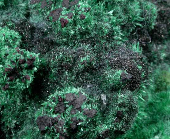 Murdochite and Malachite from Bisbee, Warren District, Cochise County, Arizona