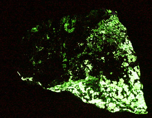 Kraisslite on Willemite and Franklinite from Sterling Mine, 700 Level, Ogdensburg, Sterling Hill, Sussex County, New Jersey (Type Locality for Kraisslite and Franklinite)