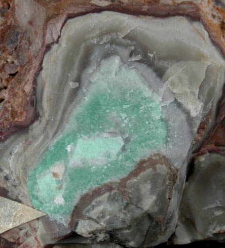 Variscite and Crandallite from Amatrice Hill, Tooele County, Utah